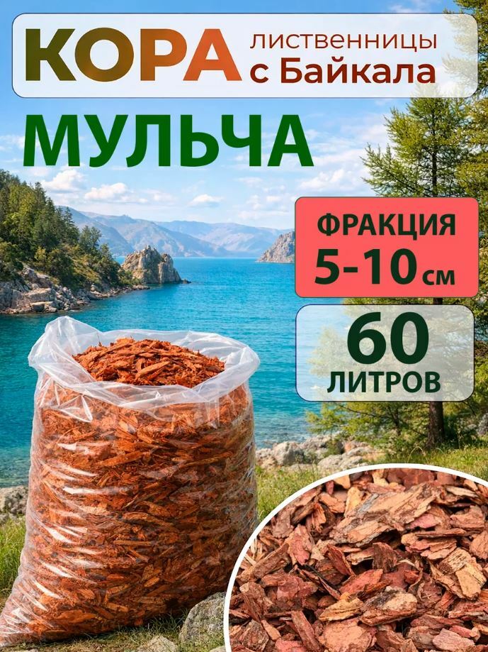 Лиственница 6-10 Лиственница 6-10
