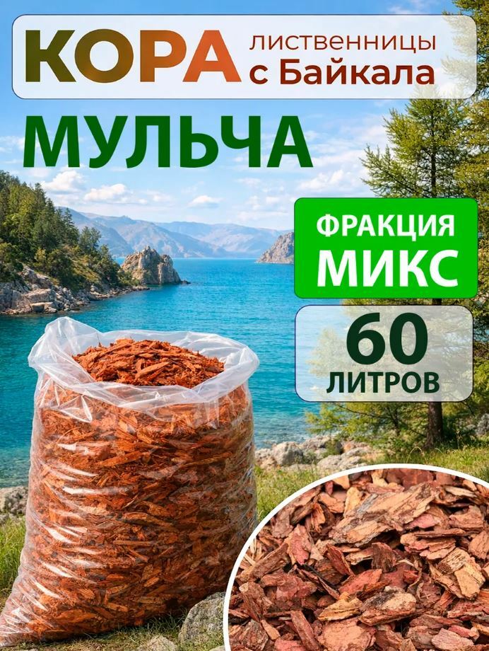 Сосна микс Сосна микс